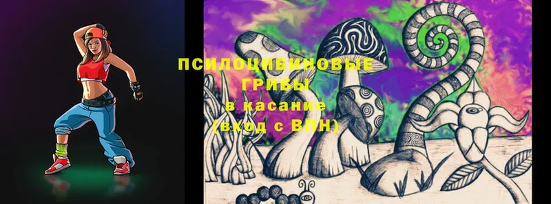 закладки  Галич  Псилоцибиновые грибы MAGIC MUSHROOMS 